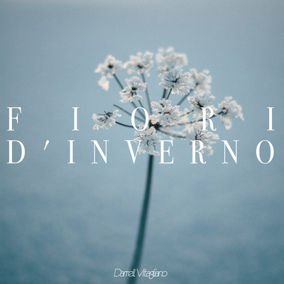 Fiori d'inverno By Darrell Vitagliano's cover