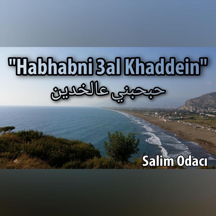 Salim Odaci's avatar image