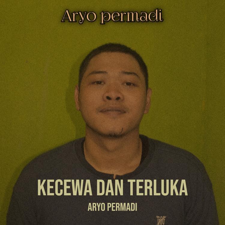 Aryo permadi's avatar image