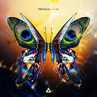 Leaving Here Alone By Tritonal, Karra, Matluck's cover