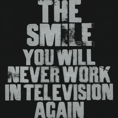 You Will Never Work In Television Again's cover