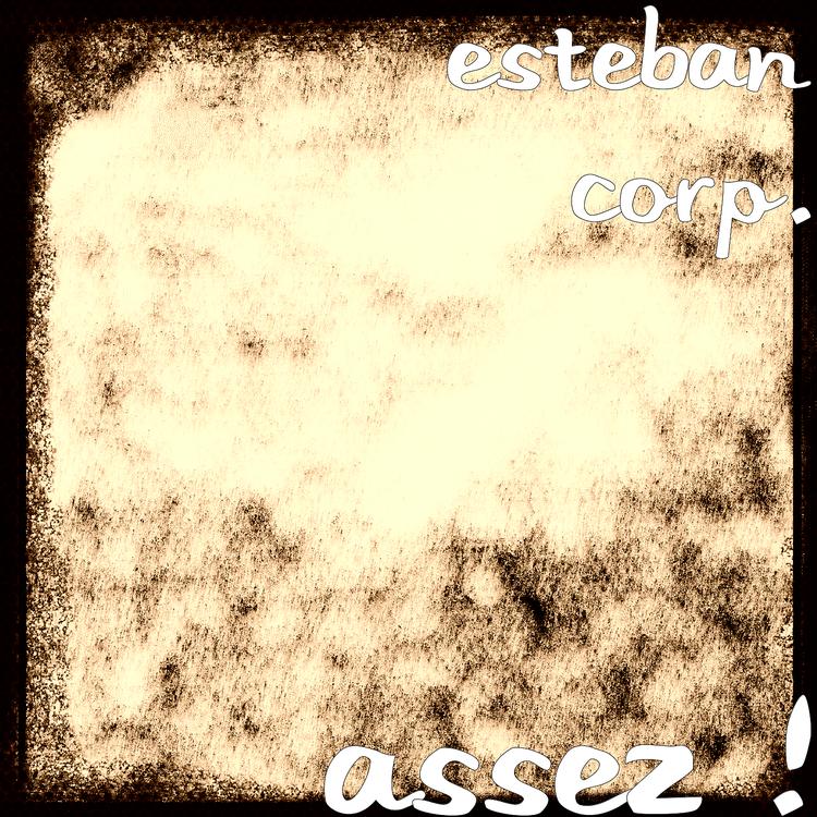 Esteban Corp.'s avatar image