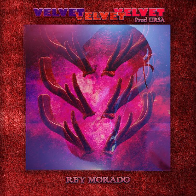 Rey Morado's avatar image