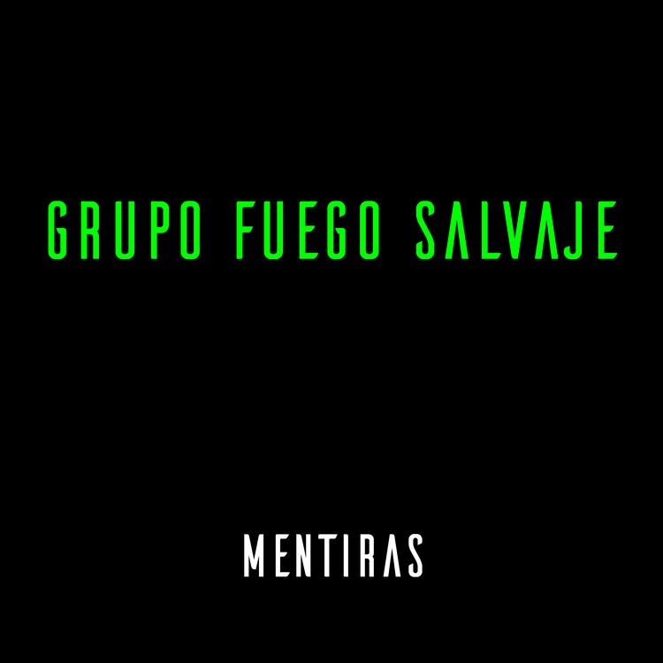 Grupo Fuego Salvaje's avatar image