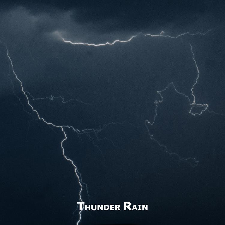 ThunderRain's avatar image