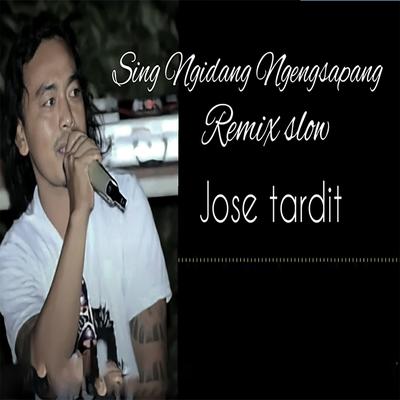 SING NGIDANG NGENGSAPANG (Remix)'s cover