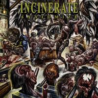 Incinerate's avatar cover