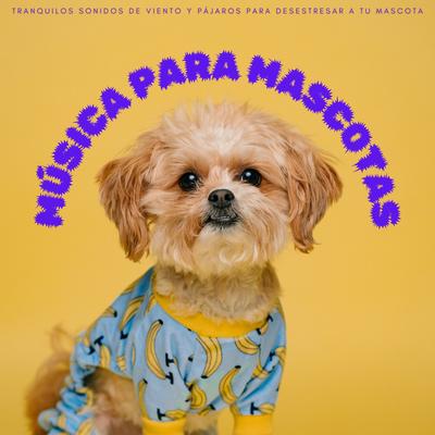 Cómo Mascotas's cover