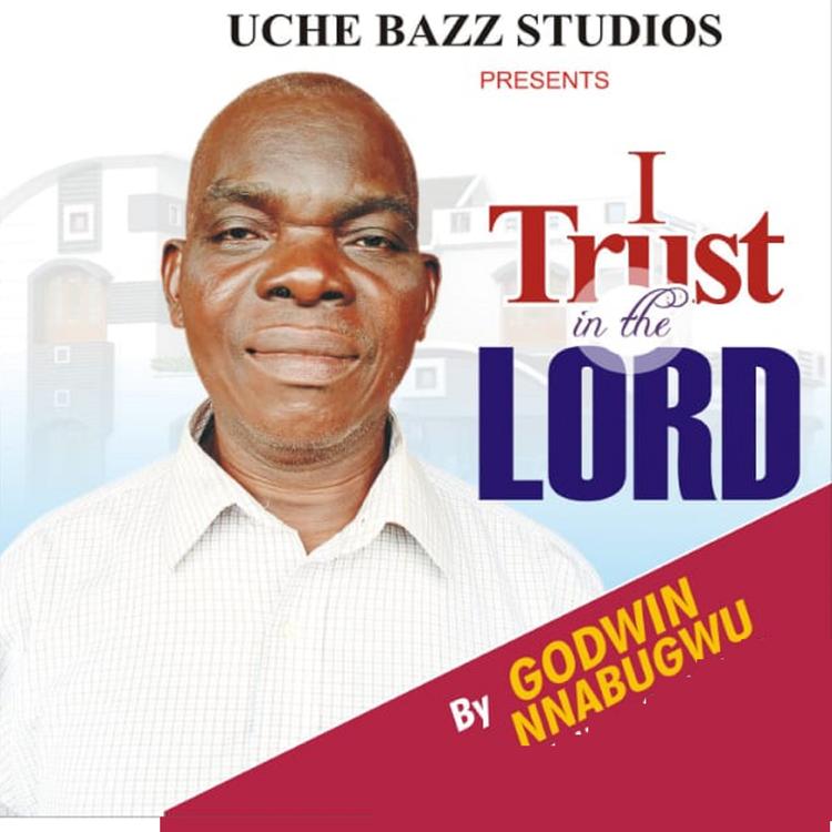 Godwin Nwabugwu's avatar image