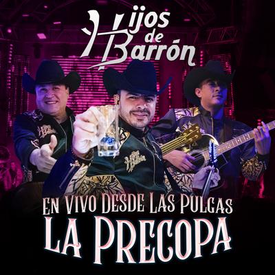 La Precopa (Desde las Pulgas) (En Vivo)'s cover