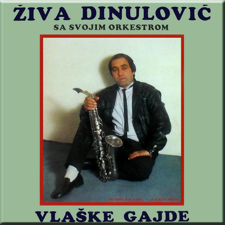 Živojin Živa Dinulović's avatar image
