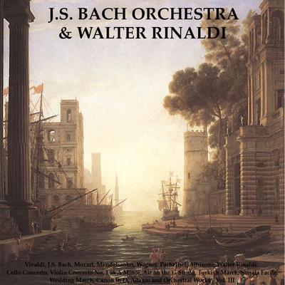 Violin Concerto No. 1 in A Minor, BWV 1041: I. Allegro Moderato By Walter Rinaldi, J.S. Bach Orchestra's cover