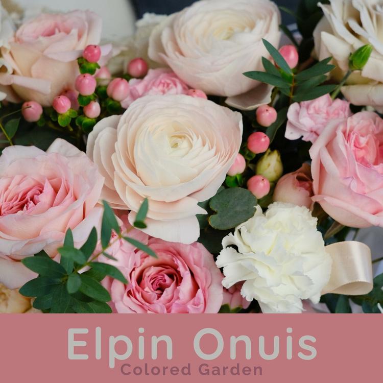 Elpin Onuis's avatar image