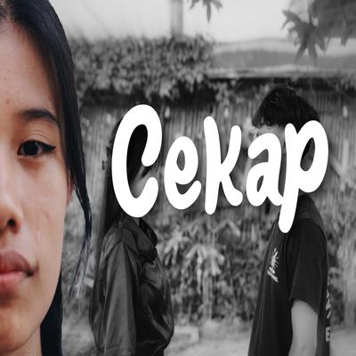 CEKAP's cover