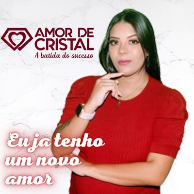 Eu Já Tenho um Novo Amor By Banda Amor De Cristal's cover