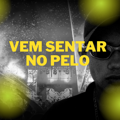 VEM SENTAR NO PELO - MC VN CRIA, DJ LS 011 By DJ LS 011, MC VN Cria's cover