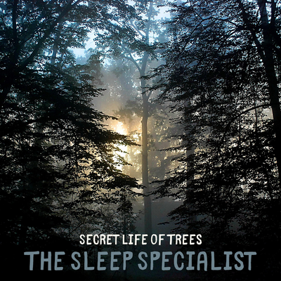 Magic of the Forest By The Sleep Specialist's cover