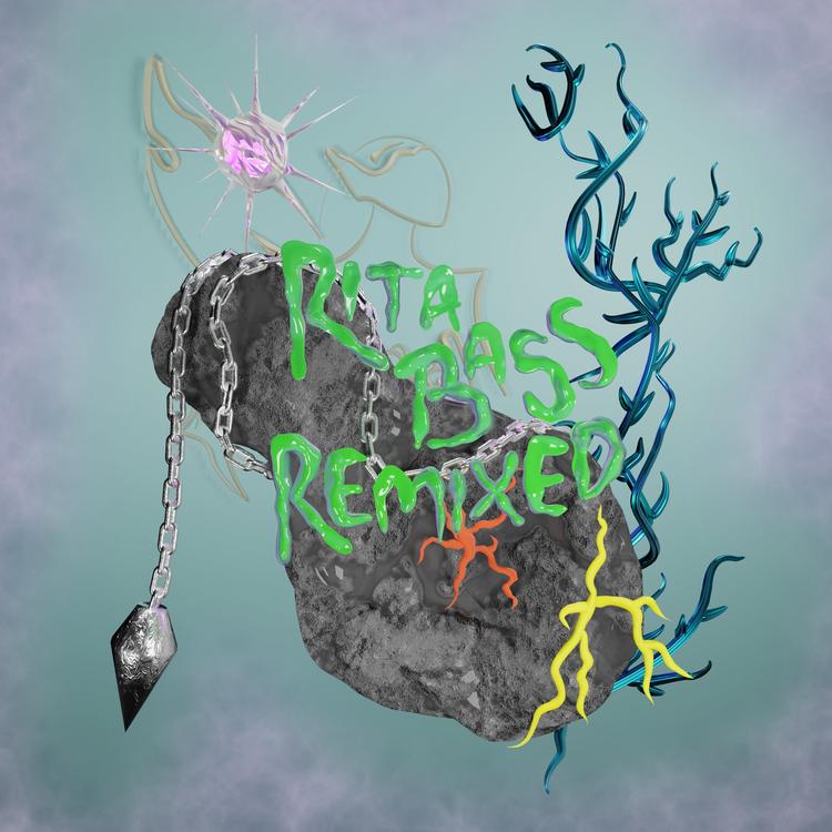 RITA BASS's avatar image