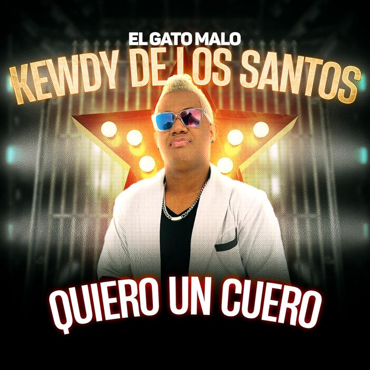 Kewdy de los Santos el Gato Malo's avatar image