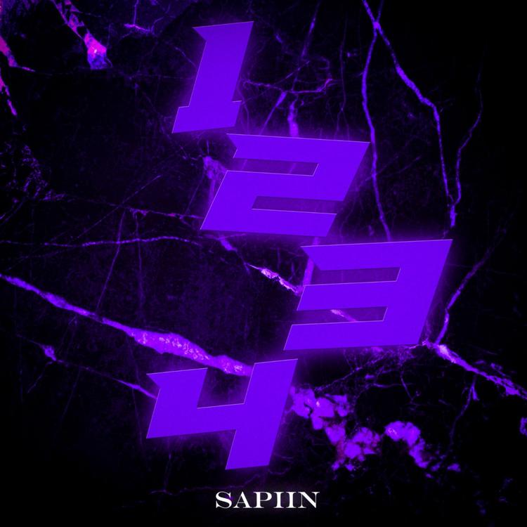 Sapiin's avatar image