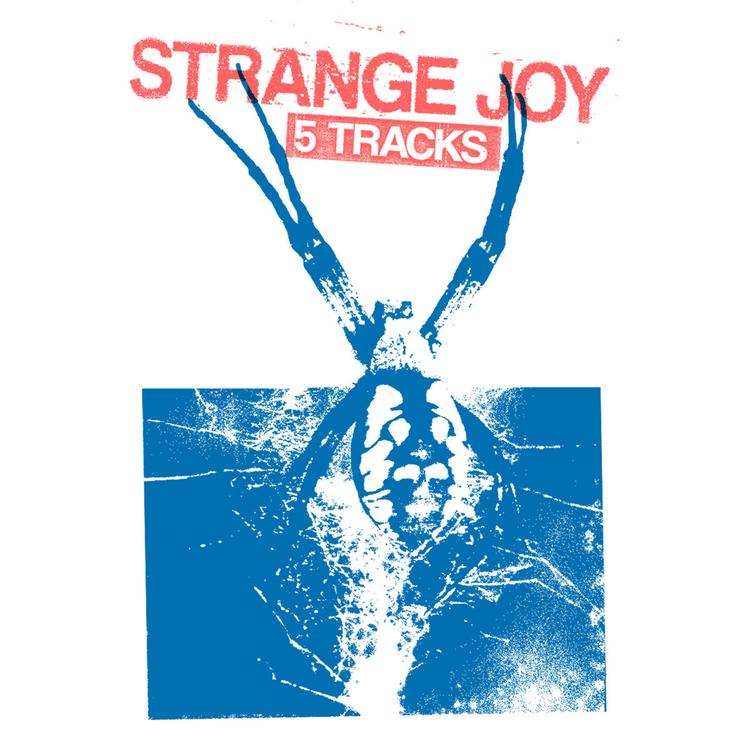 Strange Joy's avatar image