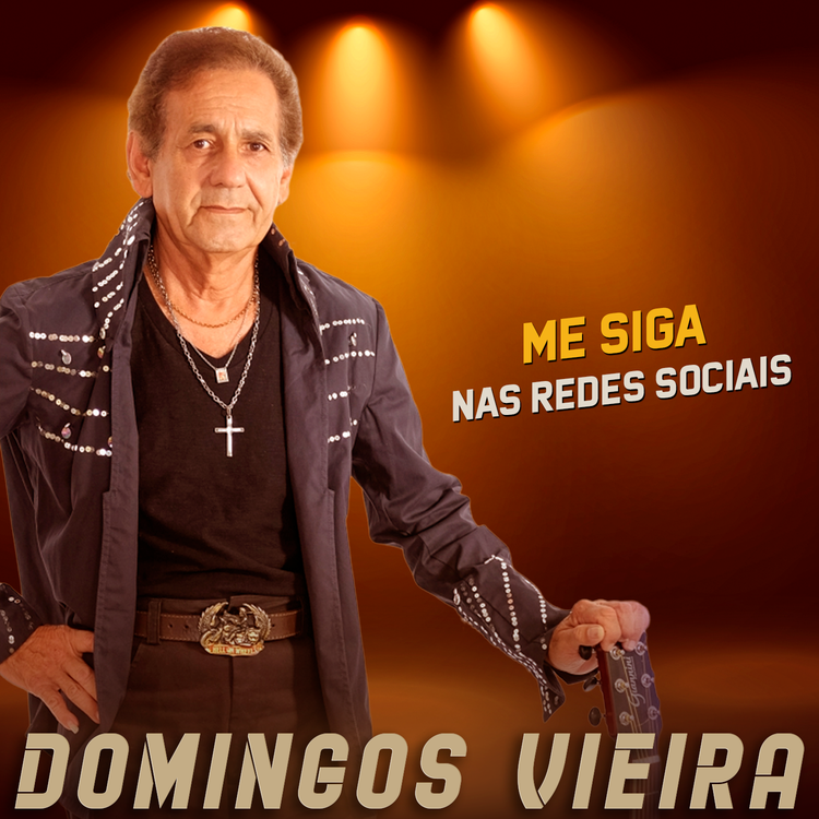 Domingos Vieira's avatar image