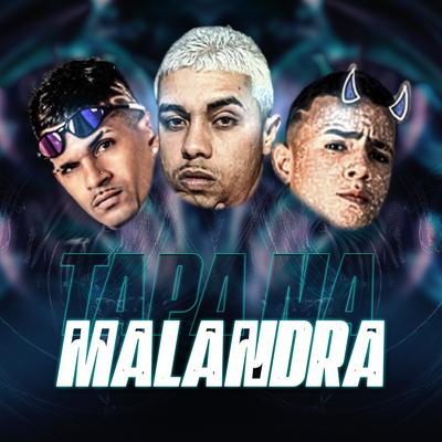 Tapa na Malandra (Remix)'s cover