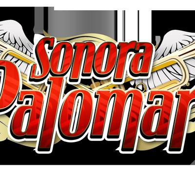 Palomar Party's cover