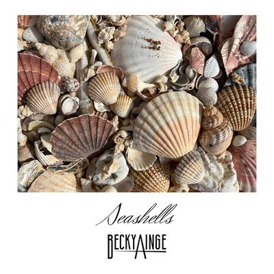 Seashells By Becky Ainge's cover