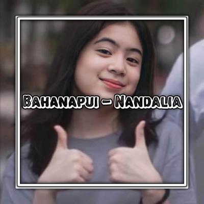 DJ BAHANAPUI NANDALIA's cover