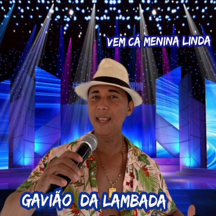 Gavião da Lambada's avatar image