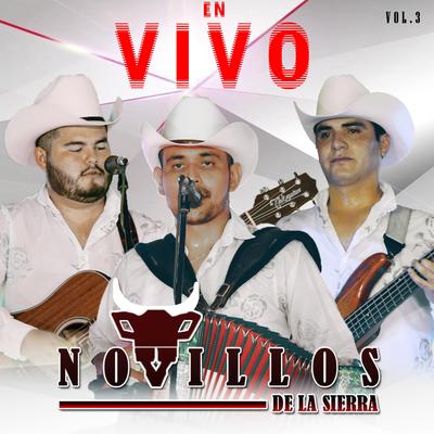 En Vivo, Vol. 3's cover