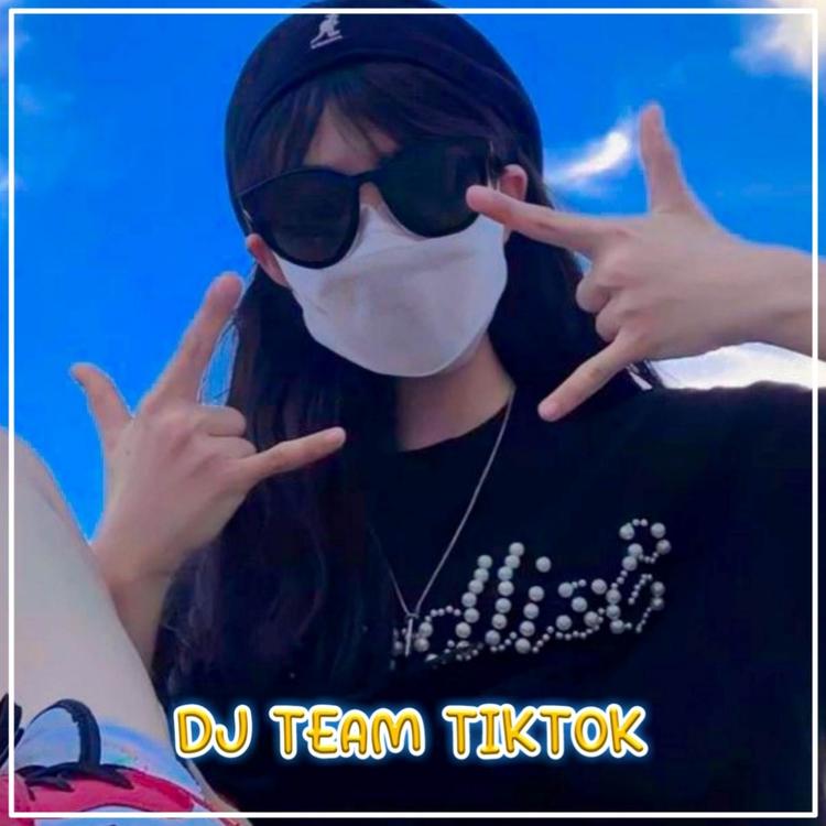 DJ TEAM TIKTOK's avatar image