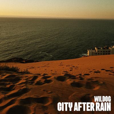 City after rain By Wildog's cover