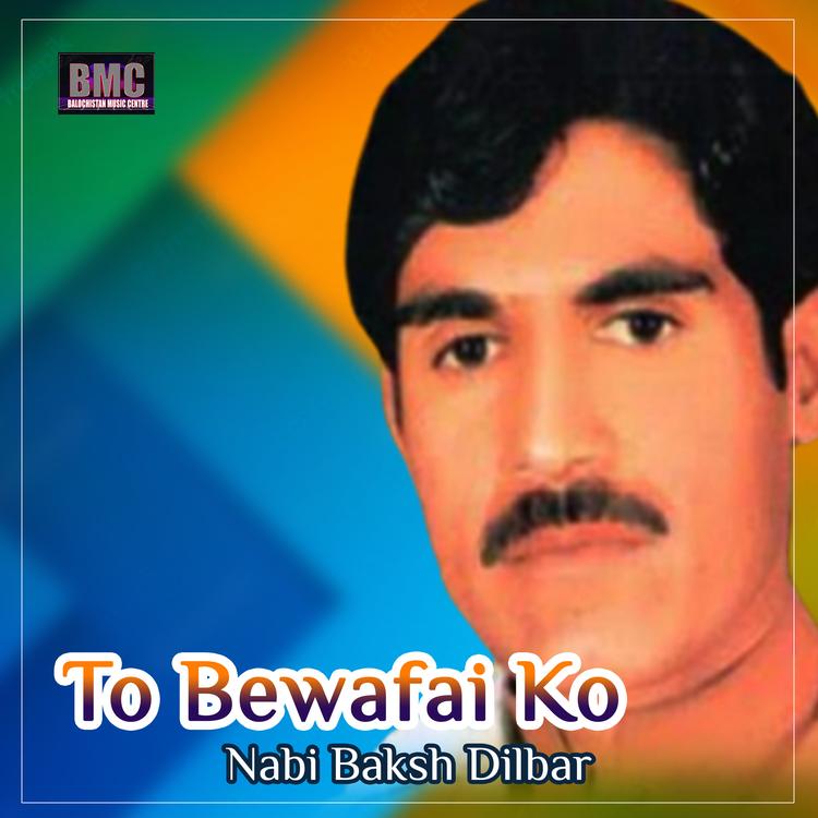 Nabi Baksh Dilbar's avatar image