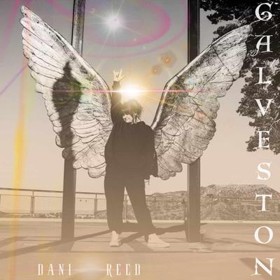 Galveston By Dani Reed's cover