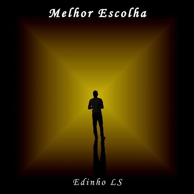 Edinho LS's avatar image