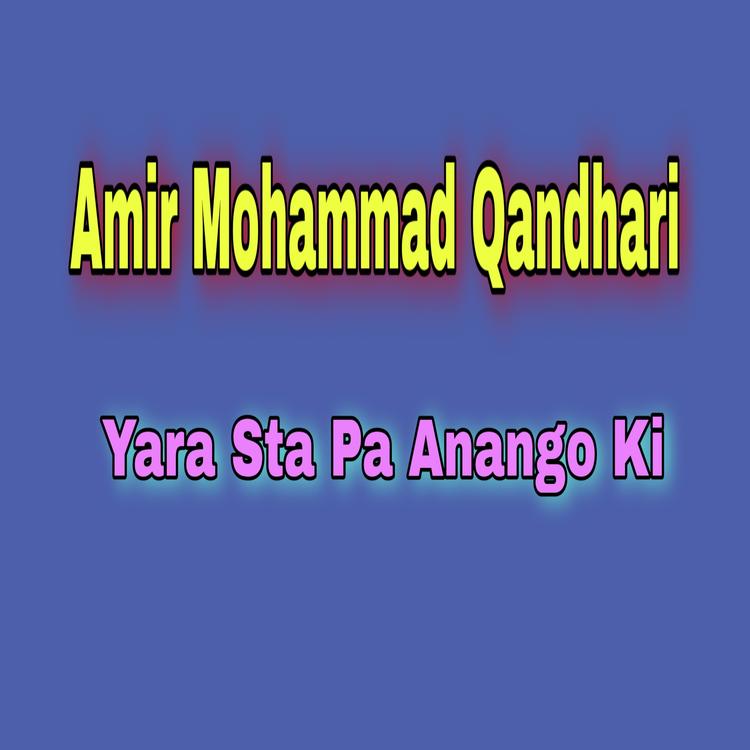 Amir Mohammad Qandhari's avatar image