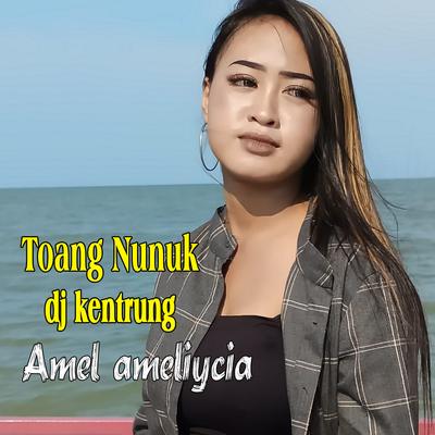Toang Nunuk Dj Kentrung's cover