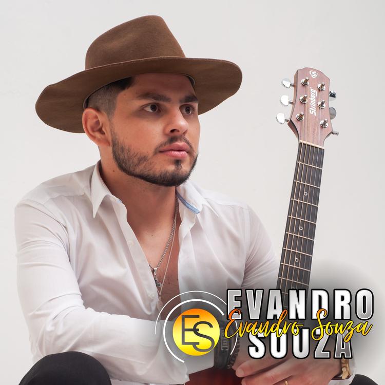 Evandro Souza Oficiall's avatar image