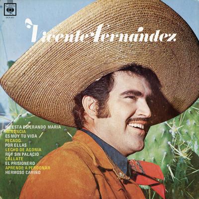 El Prisionero (Album Version) By Vicente Fernández's cover