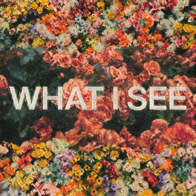 What I See (feat. Chris Brown)'s cover