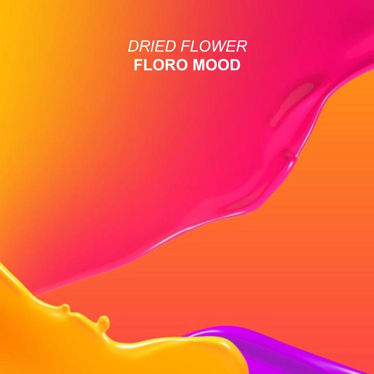 Dried Flower's avatar image