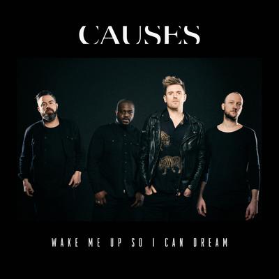 Causes's cover