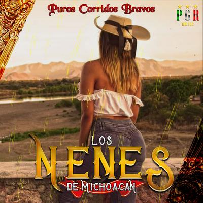 Puros Corridos Bravos's cover