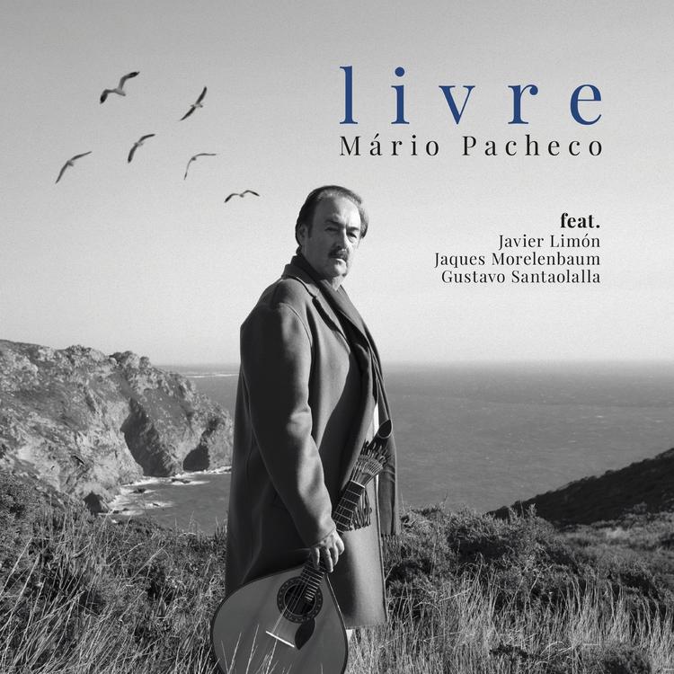 Mario Pacheco's avatar image