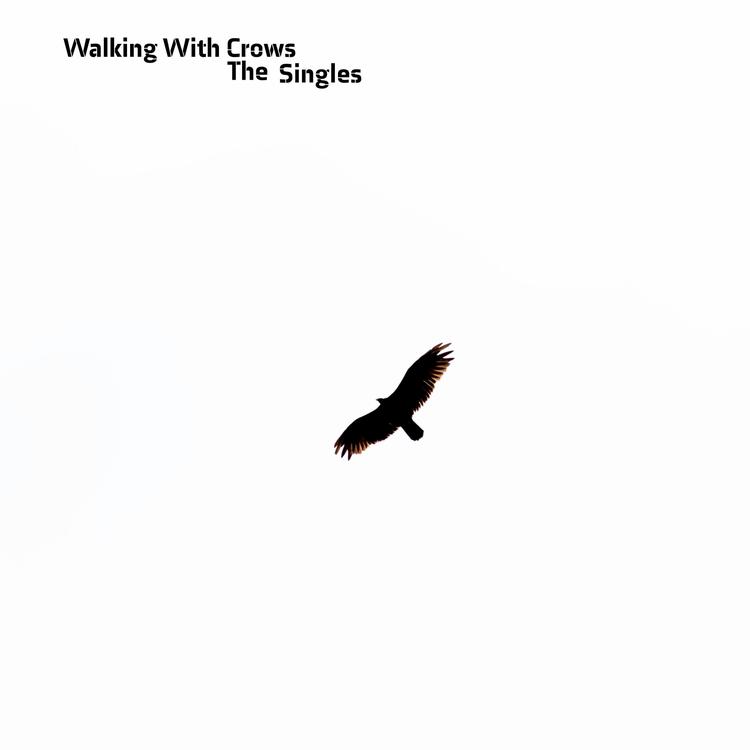 Walking With Crows's avatar image