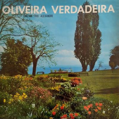Oliveira Verdadeira By Trio Alexandre's cover