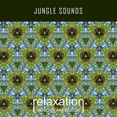 Jungle Sounds By Relaxation Sleep Meditation's cover