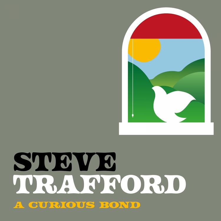 Steve Trafford's avatar image